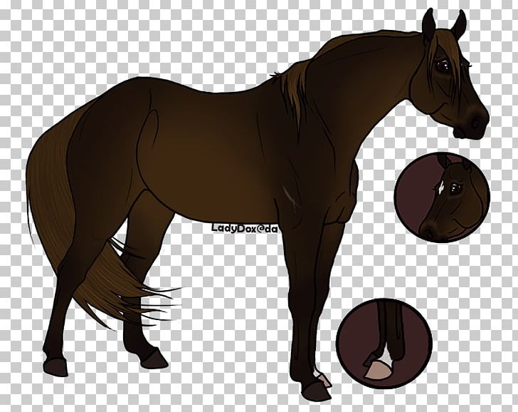 Horse Rein Stallion Mare Pony PNG, Clipart, Animals, Bit, Bridle, Colt, Equestrian Free PNG Download