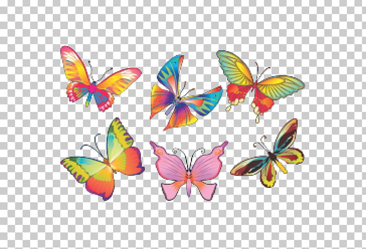 Portable Network Graphics Monarch Butterfly Drawing Information PNG, Clipart, Bmp File Format, Brush Footed Butterfly, Butterfly, Digital Image, Drawing Free PNG Download