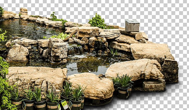 Rock Pond Garden Nursery Backyard PNG, Clipart, Backyard, Fish, Garden, Grass, Greenhouse Free PNG Download