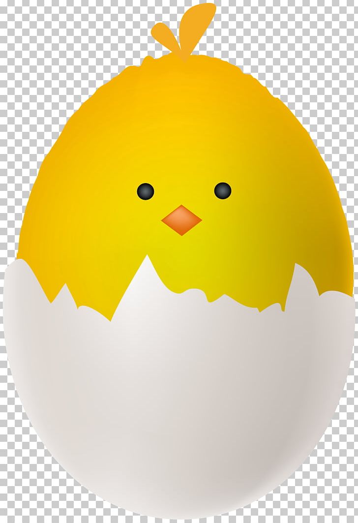 Chicken Full Breakfast Easter Egg PNG, Clipart, Beak, Bird, Breakfast, Chicken, Chicken Egg Free PNG Download