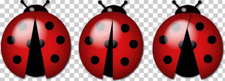 Ladybird Insect Luck Family PNG, Clipart, Animals, Beetle, Book, Education, Entertainment Free PNG Download