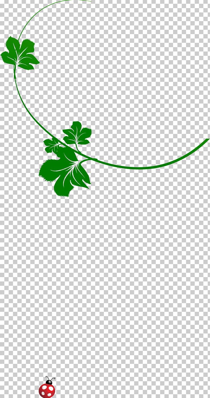 Leaf Green PNG, Clipart, Area, Autumn Leaf, Blade, Branch, Cartoon Free PNG Download