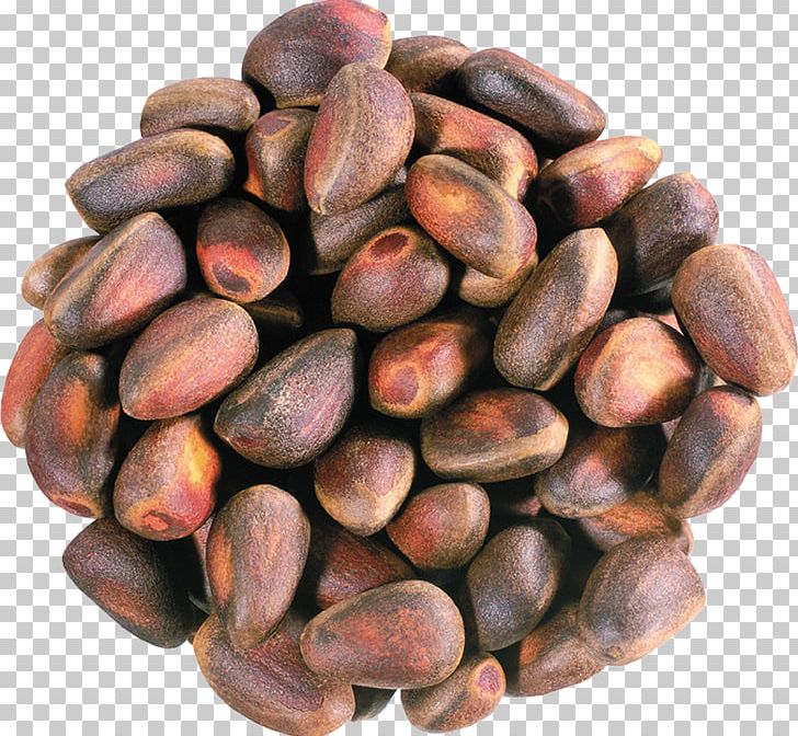 Pine Nut Nuts Peanut Galipot PNG, Clipart, Bean, Cedar, Cocoa Bean, Commodity, Conifer Cone Free PNG Download