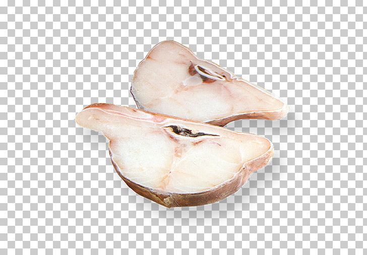 Clam Jaw Shoe PNG, Clipart, Animal Source Foods, Clam, Clams Oysters Mussels And Scallops, Jaw, Others Free PNG Download