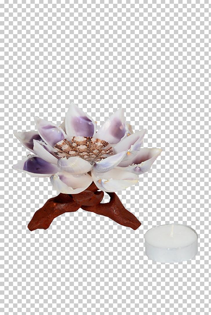 Petal PNG, Clipart, Decorative Lotus, Flower, Others, Petal Free PNG Download