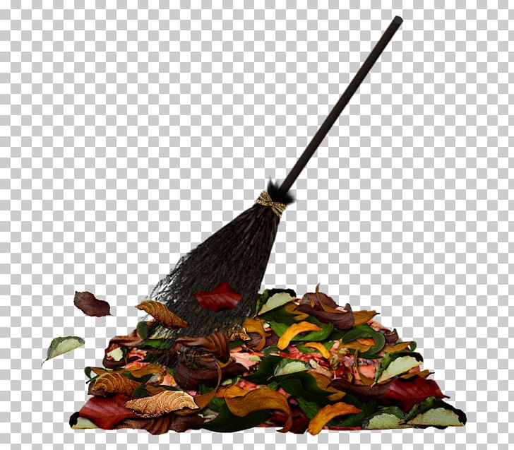Broom Harry Potter Floor PNG, Clipart, Autumn, Broom, Butterfly, Cartoon, Cleaning Free PNG Download