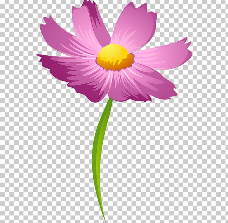 Depositphotos PNG, Clipart, Computer Wallpaper, Cosmos, Daisy Family, Depositphotos, Desktop Wallpaper Free PNG Download