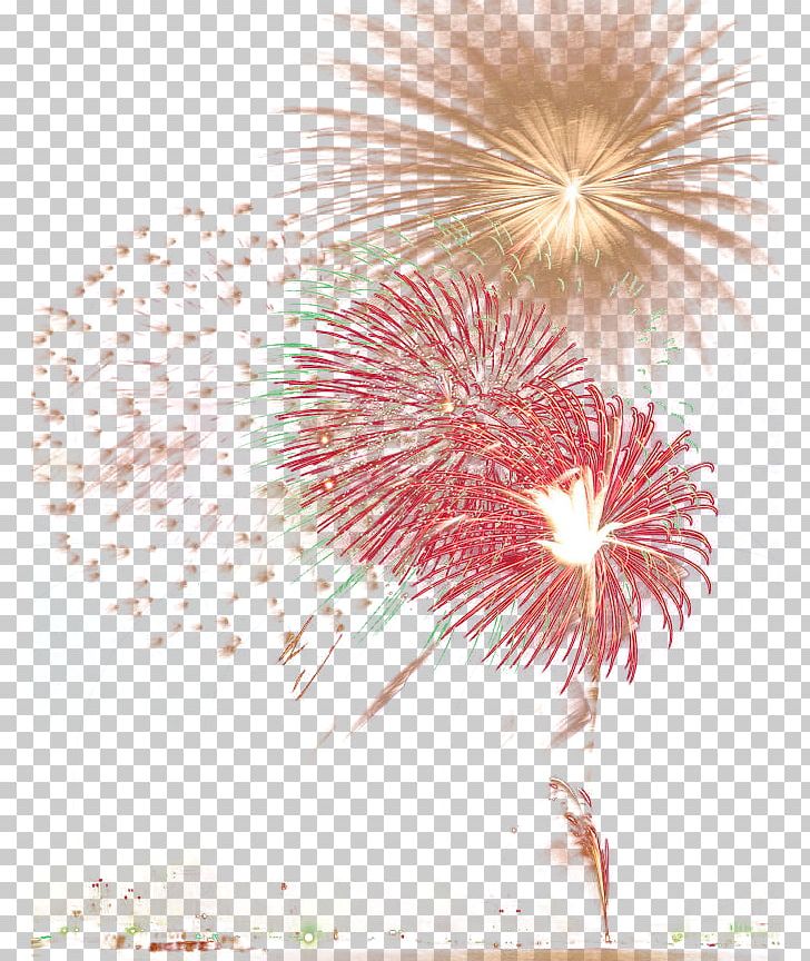 Fireworks Firecracker New Year PNG, Clipart, Color Explosion, Computer Wallpaper, Dust Explosion, Encapsulated Postscript, Explosion Free PNG Download