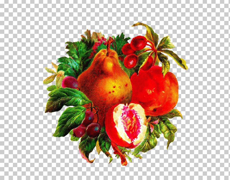 Pomegranate Juice Vegetarian Cuisine Pomegranate Juice Fruit PNG, Clipart, Accessory Fruit, Apple, Fruit, Juice, Junk Food Free PNG Download