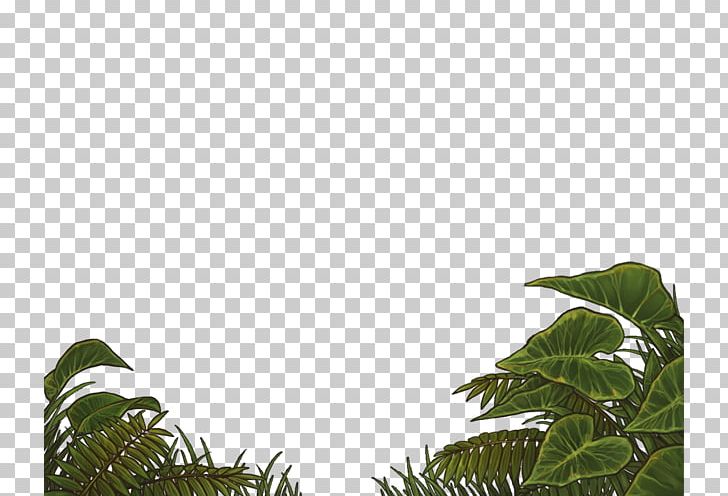 Leaf YouTube Plant Vegetation PayPal PNG, Clipart, Art, Branch, Deviantart, Grass, Jungle Free PNG Download