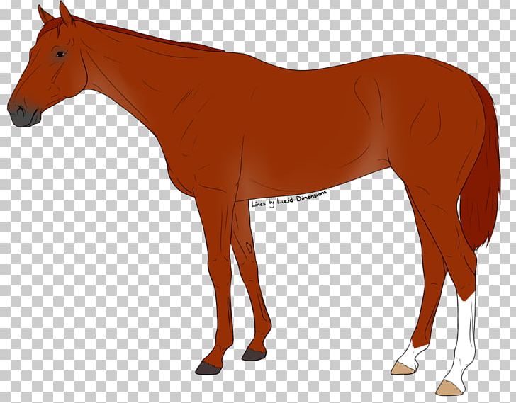 Mule Pony Mustang Foal Stallion PNG, Clipart, Bridle, Colt, Dra, Filly, Foal Free PNG Download