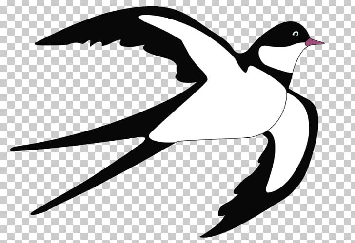 Swallow Bird Blog PNG, Clipart, Beak, Bird, Bird Flight, Black And White, Blog Free PNG Download