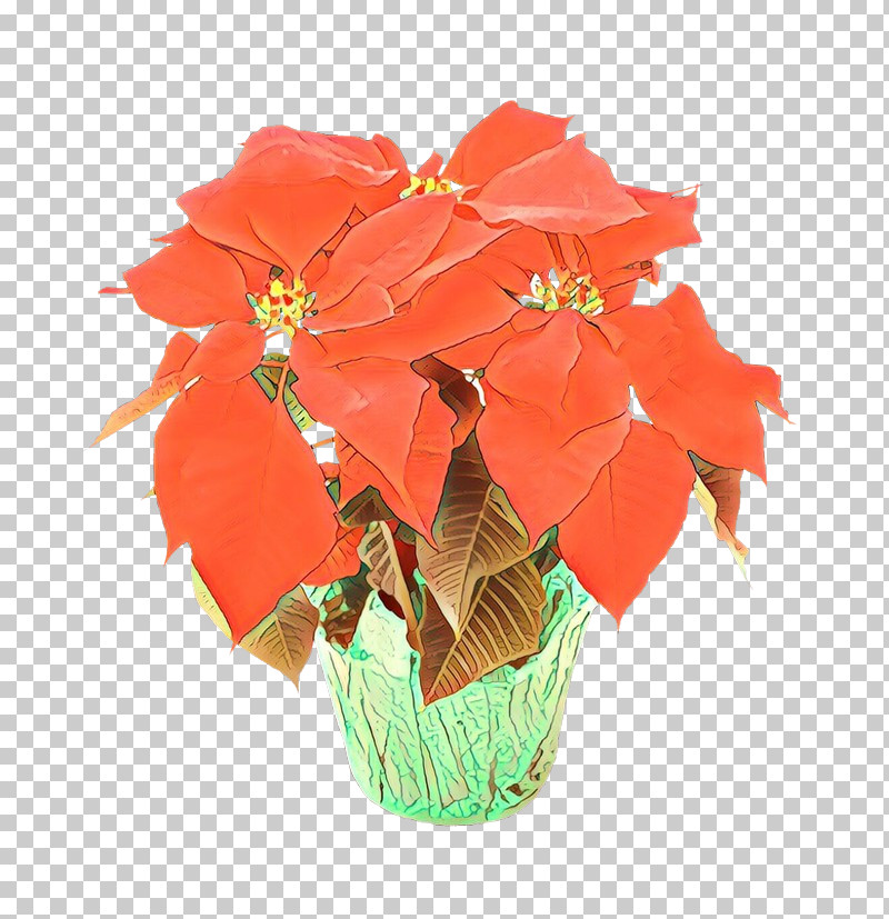 Orange PNG, Clipart, Cut Flowers, Flower, Flowerpot, Houseplant, Leaf Free PNG Download