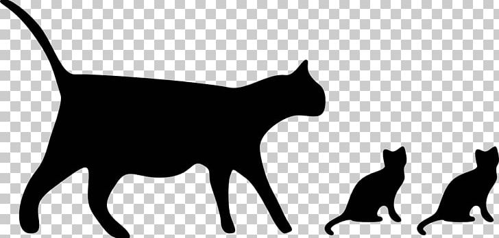 Cat PNG, Clipart, Black, Black And White, Black Cat, Black Cat Graphics, Carnivoran Free PNG Download