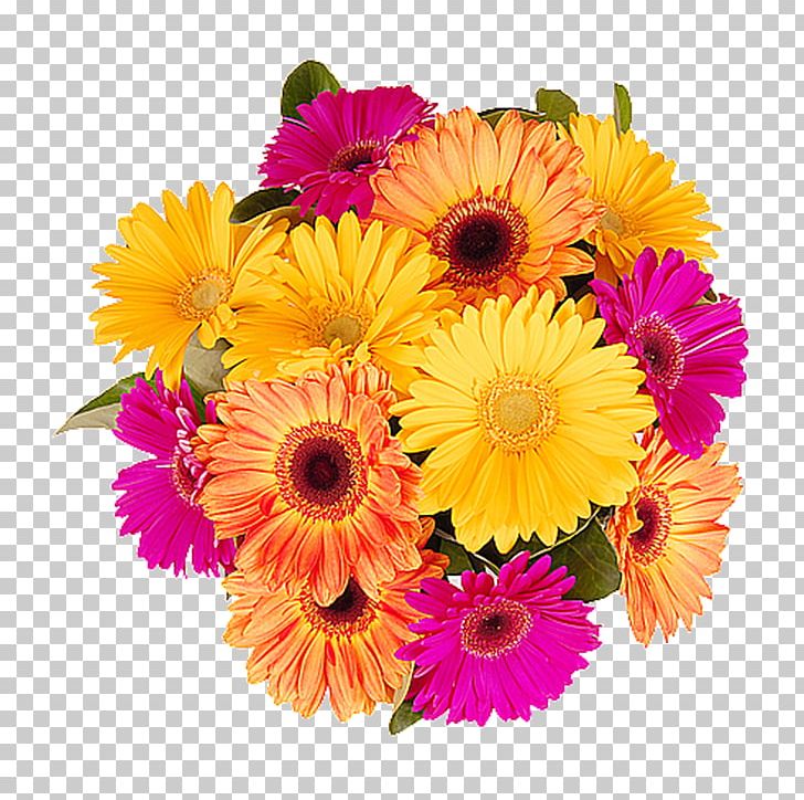 Flower Bouquet Cut Flowers Floristry PNG, Clipart, Annual Plant, Chamathkara Flora Pvt Ltd, Chrysanths, Cut Flowers, Daisy Free PNG Download