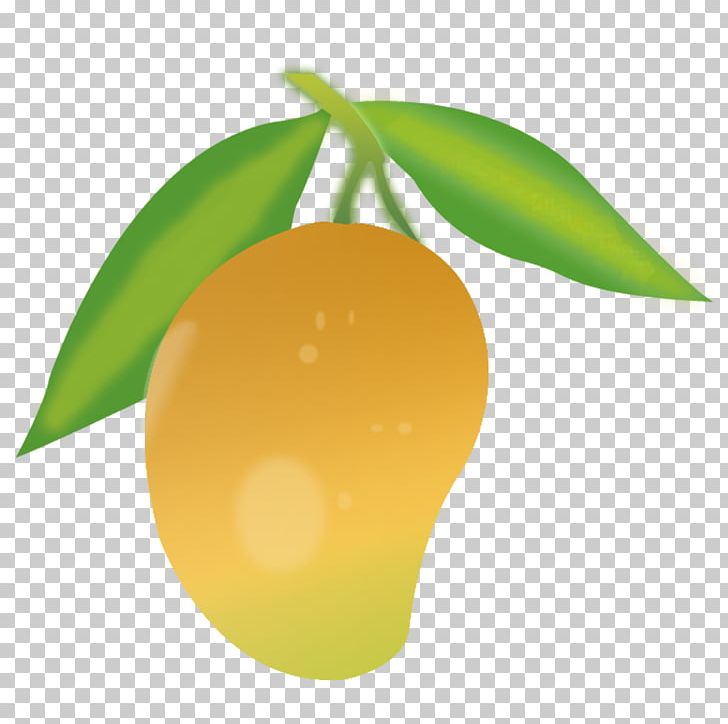 Mango PNG, Clipart, Art Green, Citrus, Clip Art, Computer Icons, Computer Wallpaper Free PNG Download