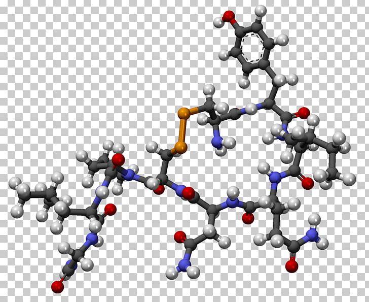 Oxytocin Hormone Pituitary Gland Hypothalamus Molecule PNG, Clipart, Body Jewelry, Brain, Branch, Cell, Chemistry Free PNG Download