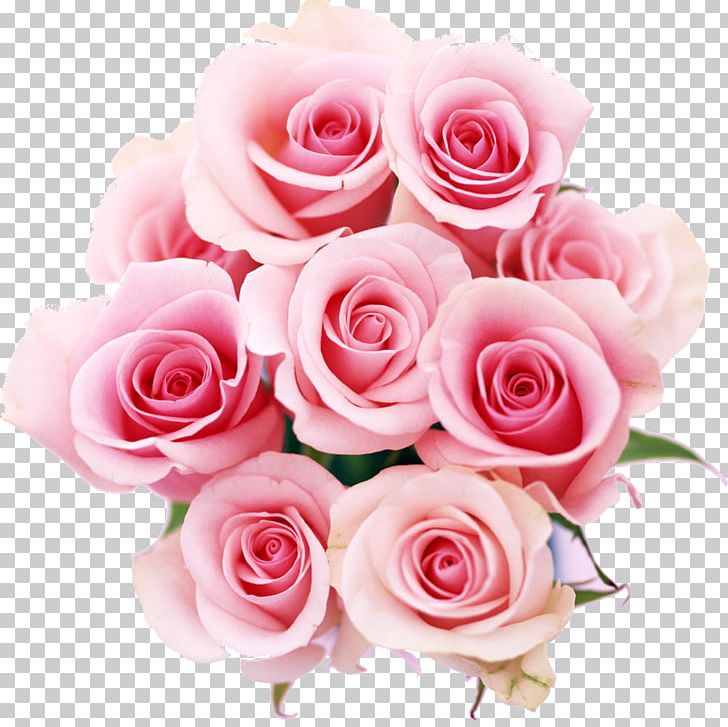 Rose Flower Color Pink PNG, Clipart, Animated Film, Artificial Flower, Color, Cut Flowers, Floral Design Free PNG Download