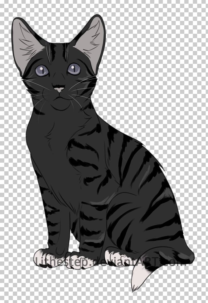American Shorthair American Wirehair Manx Cat California Spangled Korat PNG, Clipart, American Wirehair, Animals, Asian, Black, Black And White Free PNG Download