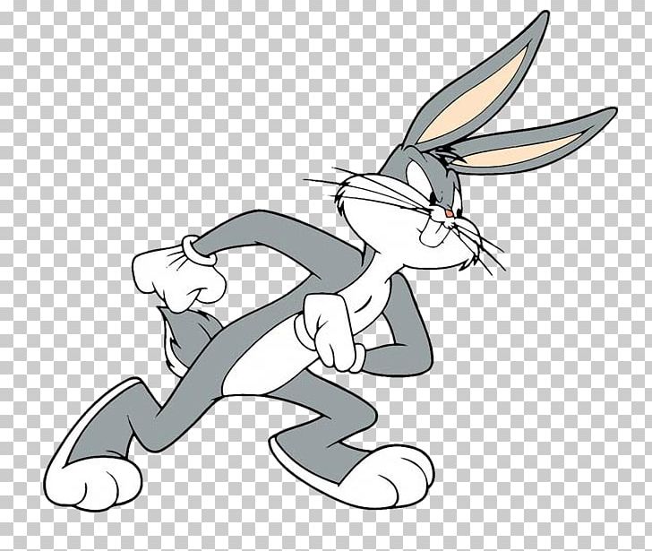 Bugs Bunny Daffy Duck Lola Bunny Porky Pig Babs Bunny PNG, Clipart, Anim, Animals, Art, Artwork, Babs Bunny Free PNG Download