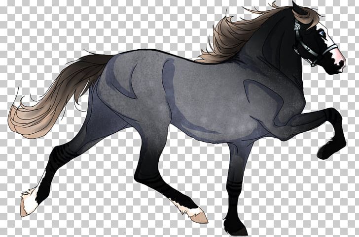 Mustang Mane Pony Mare American Quarter Horse PNG, Clipart, Animal Figure, Appaloosa, Bay, Bridle, Colt Free PNG Download