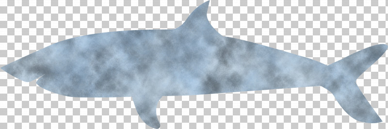 Requiem Sharks Cat Animal Figurine Tail Sharks PNG, Clipart, Animal Figurine, Biology, Cat, Requiem Sharks, Science Free PNG Download