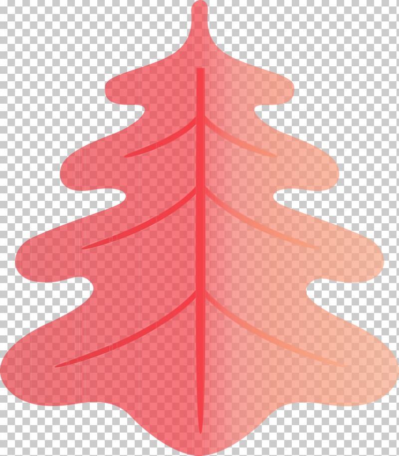 Christmas Tree PNG, Clipart, Biology, Christmas Day, Christmas Ornament, Christmas Tree, Leaf Free PNG Download