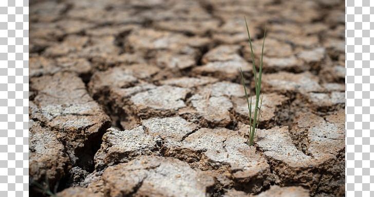 Drought Soil Heat Wave Summer Steppe PNG, Clipart, Drought, Grass, Heat Wave, Others, Plant Free PNG Download