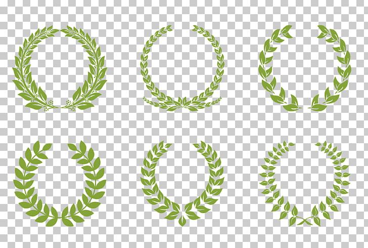 Laurel Wreath Garland Bay Laurel PNG, Clipart, Botany, Circle, Decorative Patterns, Design, Designer Free PNG Download