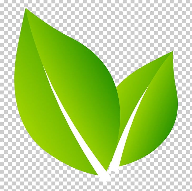 Logo Nature Leaf PNG, Clipart, Abc Logo, Art, Computer Icons, Design, Designer Free PNG Download