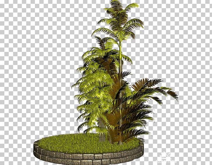 Palm Tree Grass Encapsulated Postscript PNG, Clipart, Arecales, Art, Computer Icons, Deviantart, Download Free PNG Download