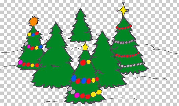 Christmas Tree Spruce Christmas Ornament Fir PNG, Clipart, Area, Branch, Branching, Christmas, Christmas Day Free PNG Download