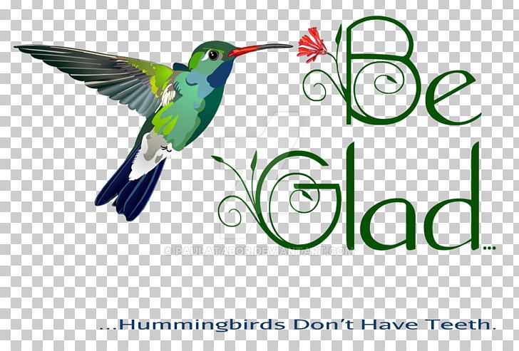 Digital Painting Humour Hummingbird M Cartoon PNG, Clipart, Art, Beak, Bird, Canvas, Cartoon Free PNG Download