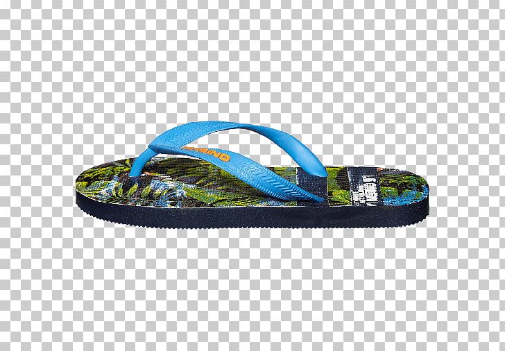 Flip-flops Swim Briefs Shoe Reef Clothing PNG, Clipart,  Free PNG Download