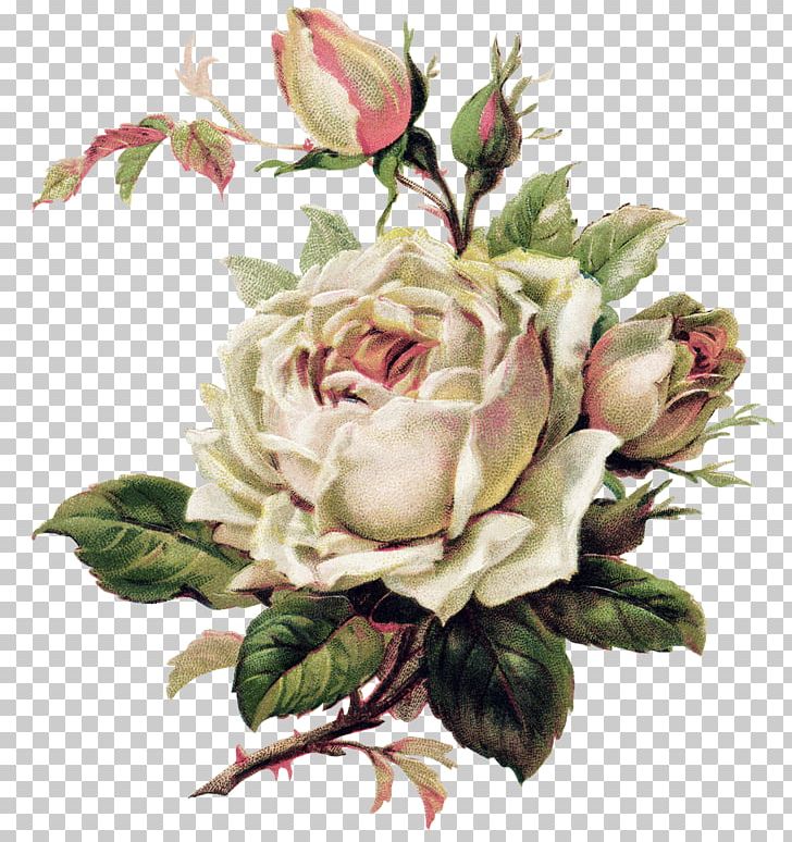 Vintage Roses: Beautiful Varieties For Home And Garden Flower Tattoo Pink PNG, Clipart, Artificial Flower, Color, Cut Flowers, Decoupage, Drawing Free PNG Download