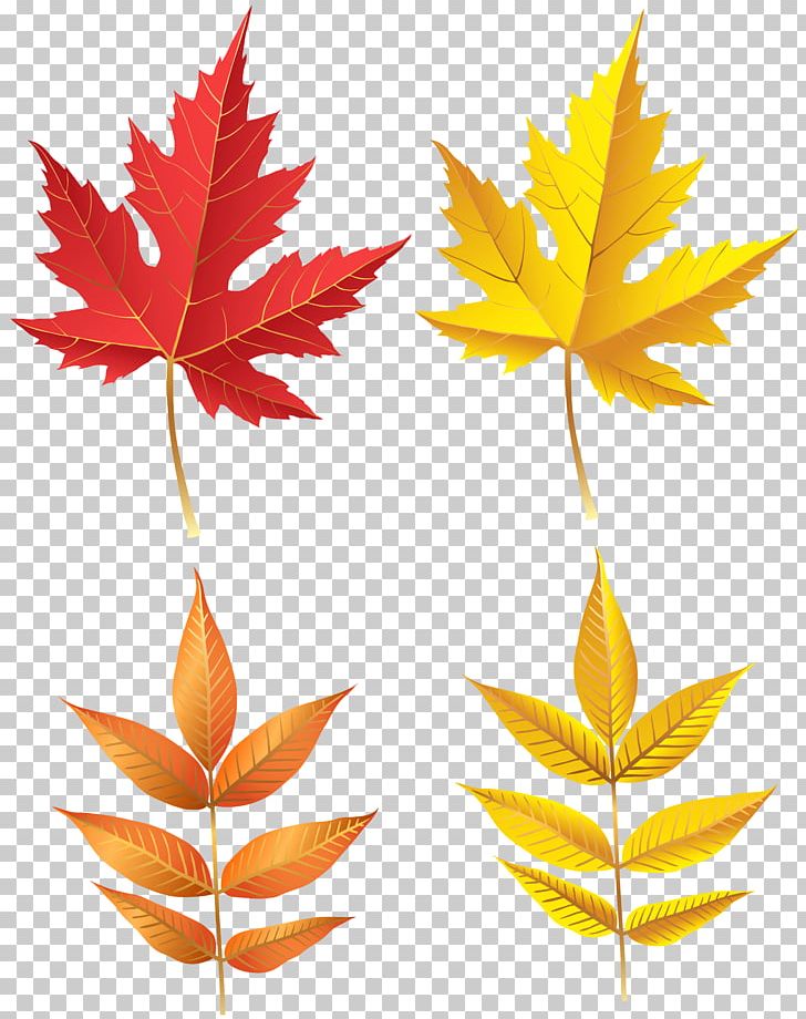 File Formats Lossless Compression PNG, Clipart, Art Museum, Autumn, Autumn Leaf Color, Autumn Leaves, Camellia Free PNG Download