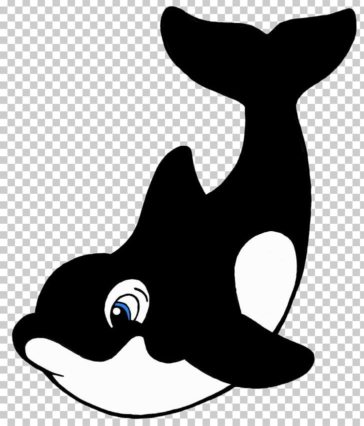 Killer Whale Cartoon Drawing PNG, Clipart, Black And White, Carnivoran, Cartoon, Cat, Cat Like Mammal Free PNG Download