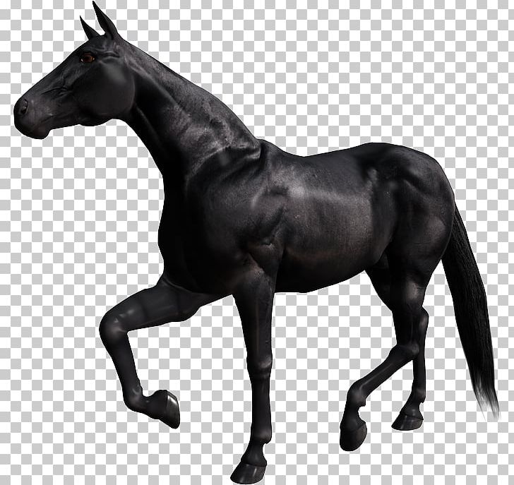 Mustang GIF Stallion Mare Pony PNG, Clipart, Animation, Black And White, Bridle, Caballo, Cheval Free PNG Download