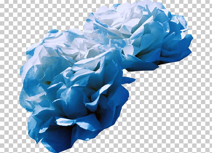 Blue Rose Garden Roses Cut Flowers Cabbage Rose PNG, Clipart, Aqua, Bayou, Blue, Blue Rose, Cut Flowers Free PNG Download
