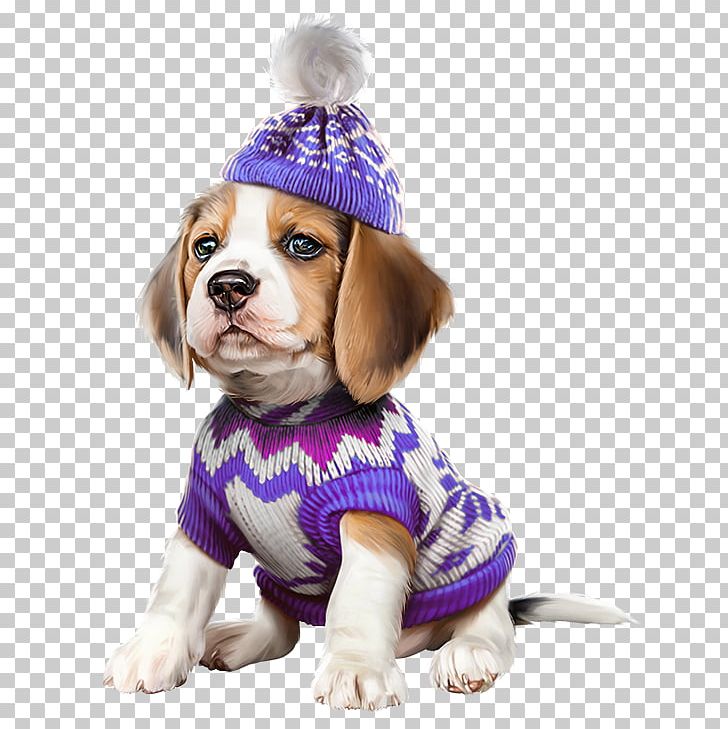 French Bulldog Boston Terrier Beagle Cat PNG, Clipart, American Eskimo Dog, Animal, Animals, Beagle, Boston Terrier Free PNG Download