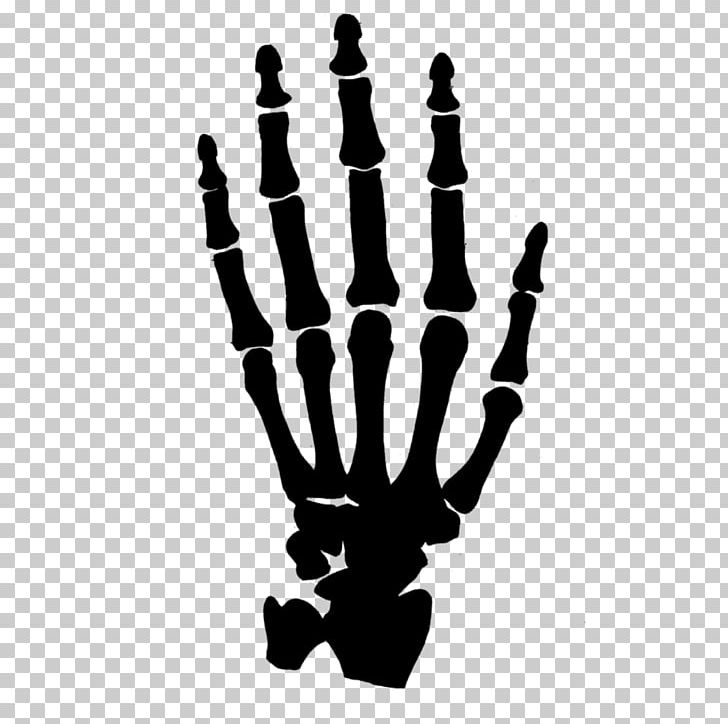 Human Skeleton Hand PNG, Clipart, Anatomy, Arm, Black And White, Bone, Bones Free PNG Download