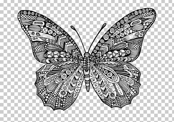 Monarch Butterfly Coloring Book Drawing PNG, Clipart, Arthropod, Black And White, Book, Brush Footed Butterfly, Butterflies And Moths Free PNG Download