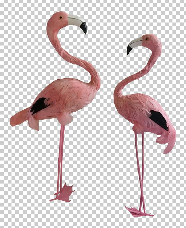 Neck Beak PNG, Clipart, Beak, Bird, Flamingo, Miscellaneous, Neck Free PNG Download