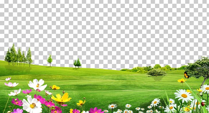 Trees Landscape Material Meadow Flowers PNG, Clipart, Decorative Patterns, Flower, Flower Pattern, Flowers, Flower Vector Free PNG Download