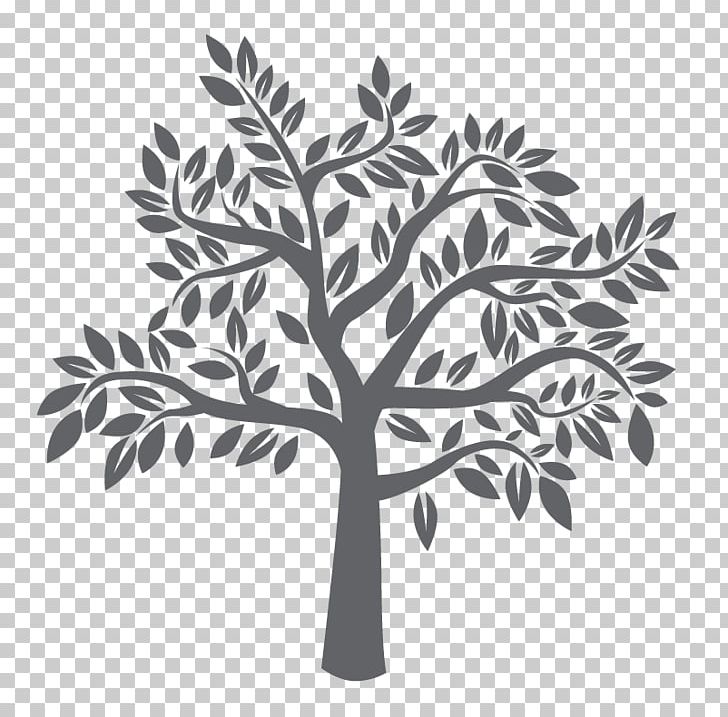 Graphics Tree Silhouette Photograph PNG, Clipart, Black And White, Branch, Drawing, Flower, Leaf Free PNG Download