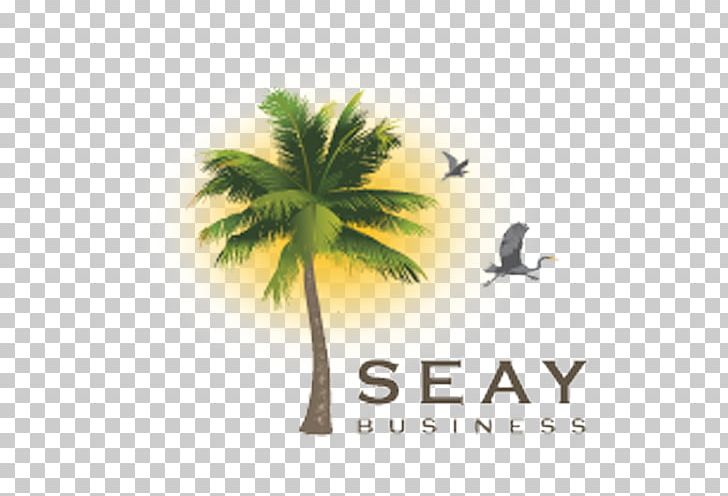 Palm Trees Canvas Design PNG, Clipart, Arecales, Canvas, Coconut, Computer Wallpaper, Deckchair Free PNG Download
