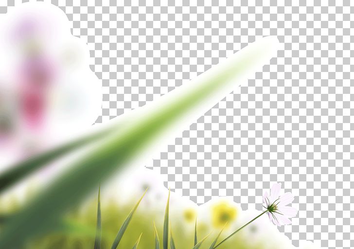 Camera Lens Icon PNG, Clipart, Blooming, Blur, Blurry, Closeup, Com Free PNG Download