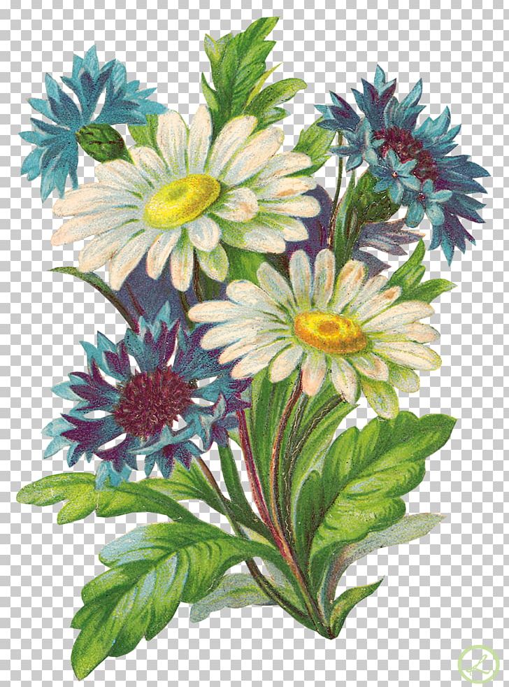 Flower Bouquet Garden Roses Child PNG, Clipart, Annual Plant, Aster, Chamomile, Child, Chrysanths Free PNG Download