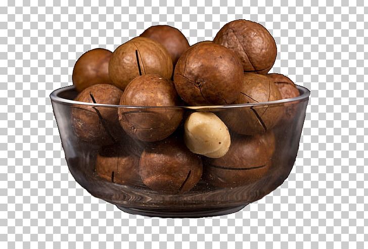 Macadamia Nut Australian Cuisine Pistachio PNG, Clipart, Australian, Brazil Nut, Cashew, Dried Fruit, Food Free PNG Download