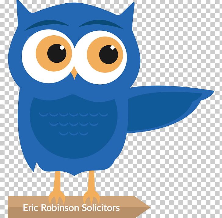 Owl Eric Robinson Solicitors Lawyer Barrister PNG, Clipart, Animals, Barrister, Beak, Bird, Bird Of Prey Free PNG Download